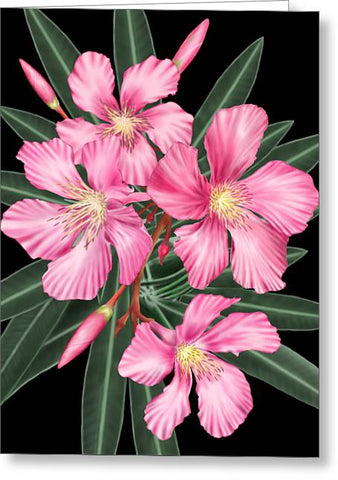 Pink Oleander - Greeting Card