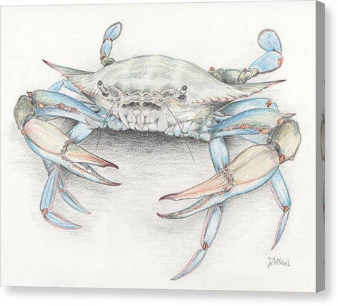 Blue Crab - Canvas Print