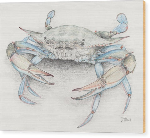 Blue Crab - Wood Print