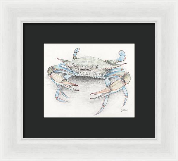 Blue Crab - Framed Print