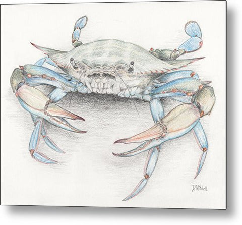 Blue Crab - Metal Print