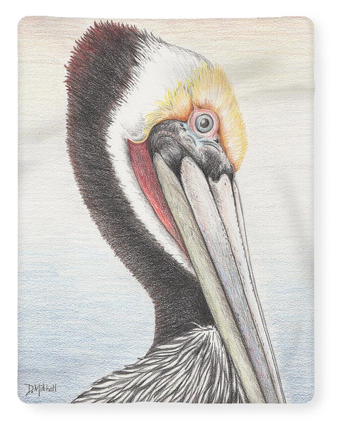 Brown Pelican - Blanket