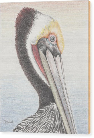 Brown Pelican - Wood Print