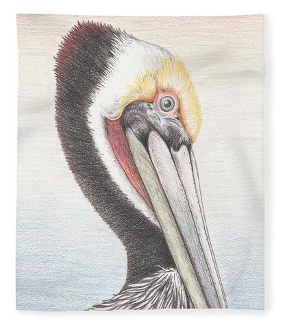 Brown Pelican - Blanket