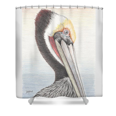 Brown Pelican - Shower Curtain