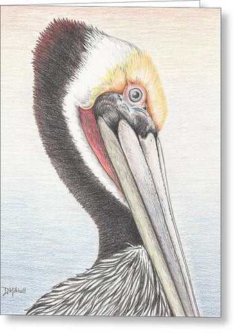 Brown Pelican - Greeting Card