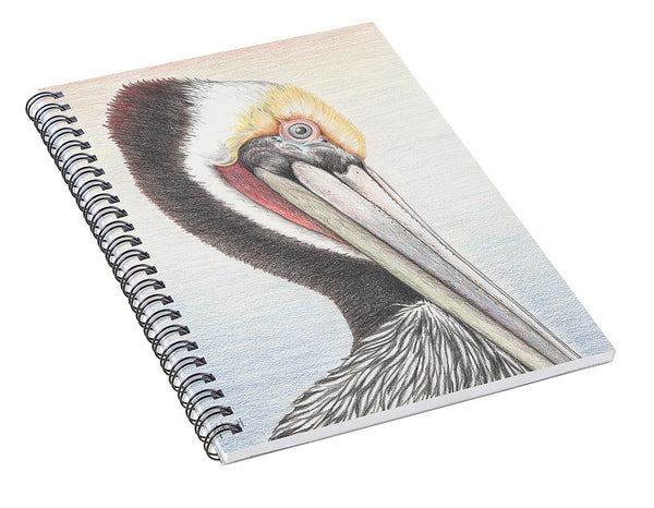 Brown Pelican - Spiral Notebook