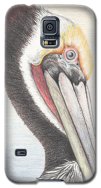 Brown Pelican - Phone Case