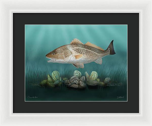 Cruisin' the Reefs - Framed Print