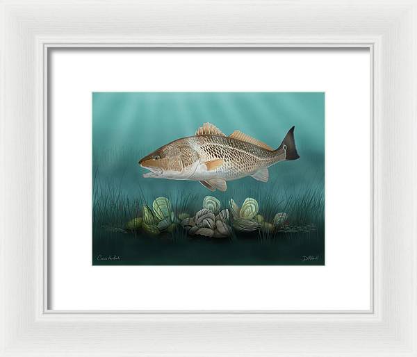 Cruisin' the Reefs - Framed Print