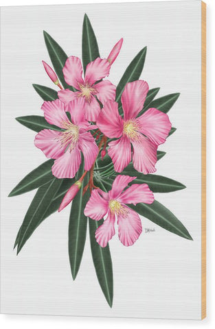 Pink Oleander - Wood Print