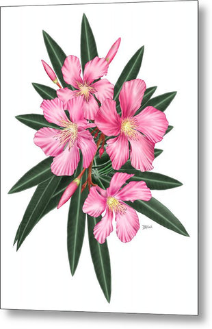 Pink Oleander - Metal Print