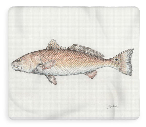 Redfish - Blanket