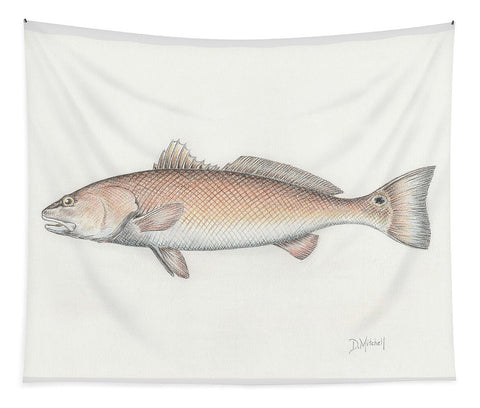 Redfish - Tapestry