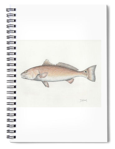 Redfish - Spiral Notebook