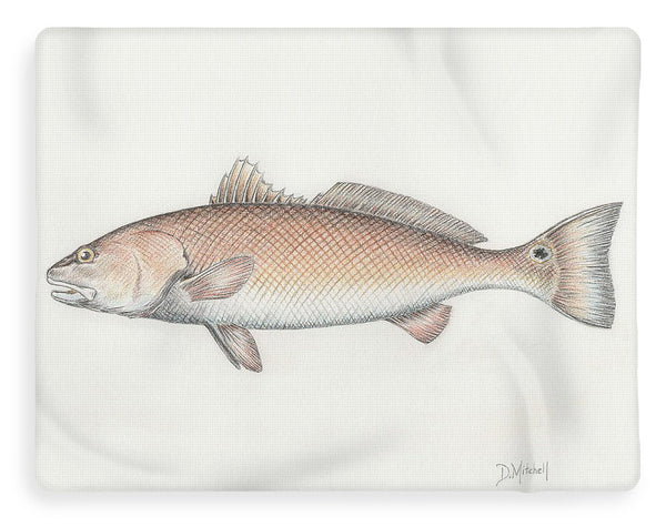 Redfish - Blanket