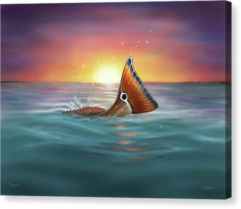 Redfish - Tranquil Tail - Canvas Print