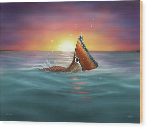 Redfish - Tranquil Tail - Wood Print