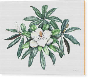 Southern Magnolia - Wood Print