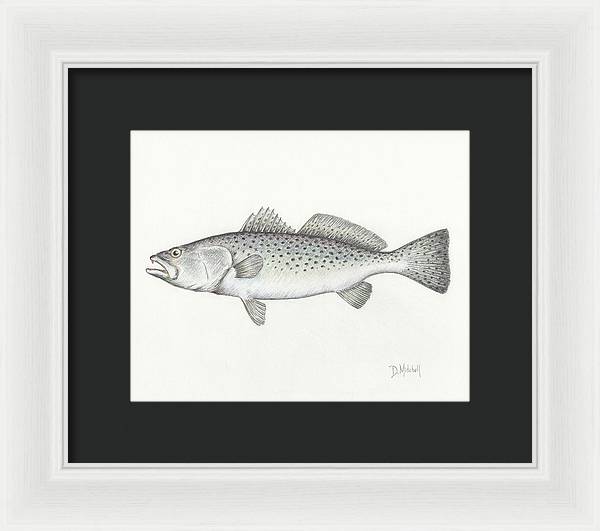 Speckled Trout - Framed Print