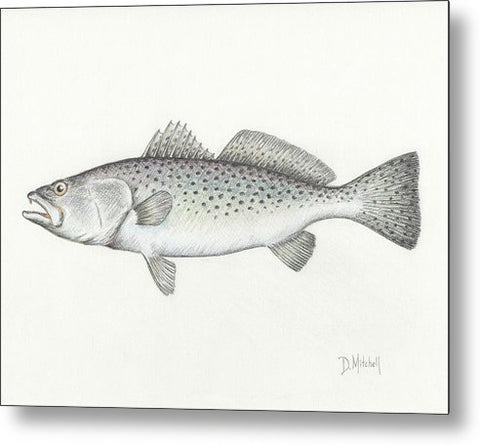 Speckled Trout - Metal Print
