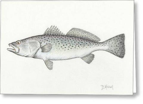 Speckled Trout - Greeting Card