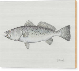 Speckled Trout - Wood Print