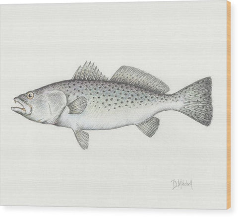 Speckled Trout - Wood Print