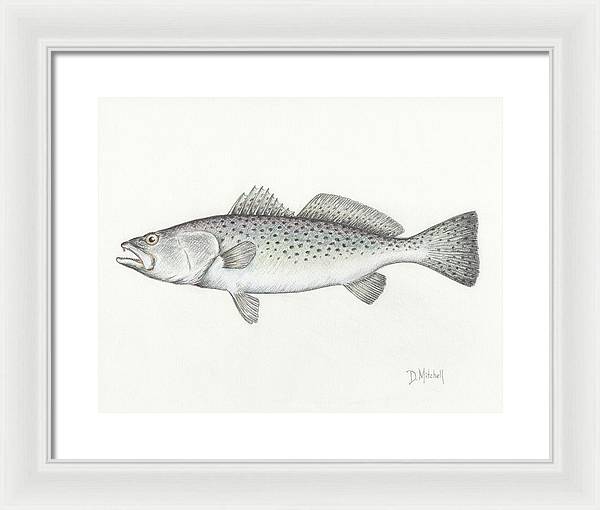 Speckled Trout - Framed Print